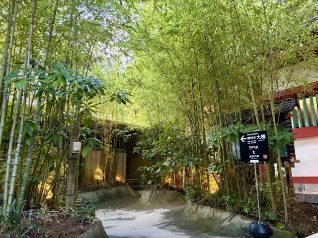 来宮神社　大楠へ